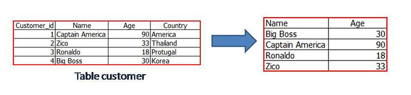 สอน SQL : บทที่ 1 SQL พื้นฐาน สำหรับการจัดการฐานข้อมูล (Database)