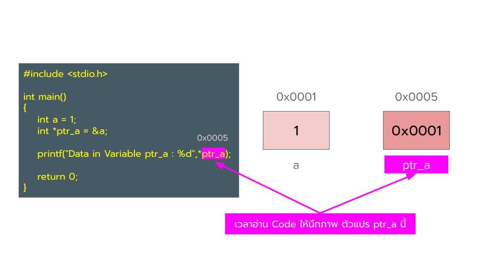 สอน Pointer ภาษา C : บทที่ 4 Pointer คืออะไร ในภาษา C และ & (Ampersand) Address Operator และ * (Asterisk) Dereferencing Operator